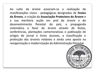 Ao culto da árvore associam-se a realização de manifestações cívico - pedagógicas designadas de Festas daÁrvore, a criação da Associação Protectora da Árvore e a sua meritória acção em prol da árvore e do desenvolvimento florestal do país, a propaganda sistemática a favor da árvore através de festas, conferências, plantações comemorativas e publicação de artigos de jornal e livros alusivos, a classificação e protecção das árvores notáveis e ainda uma aposta na reorganização e modernização da Administração Florestal.                                     