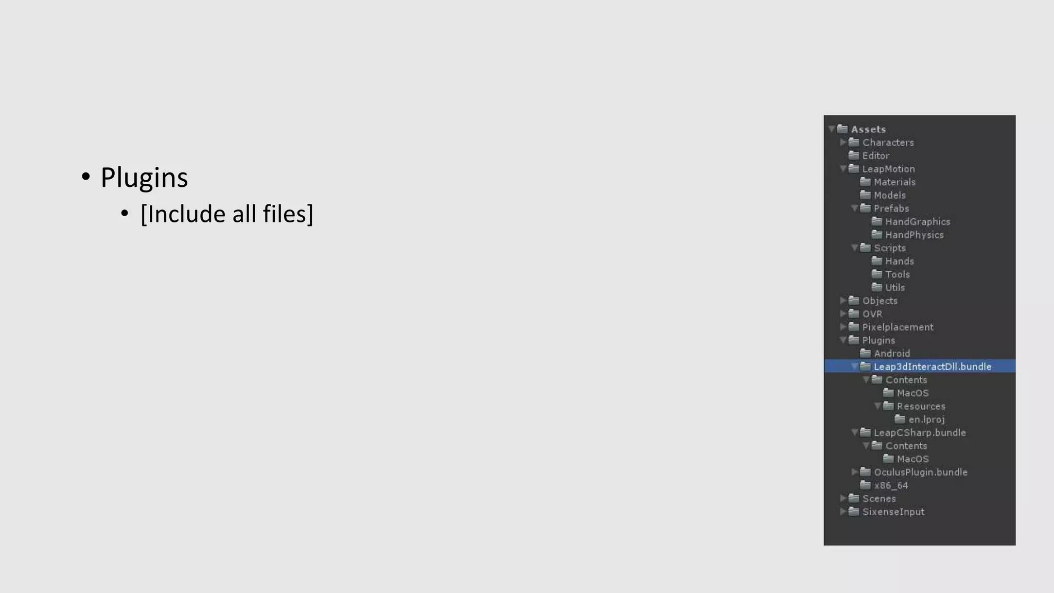 • Plugins 
• [Include all files] 
 