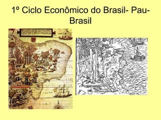 1º Ciclo Econômico do Brasil- Pau-
              Brasil
 