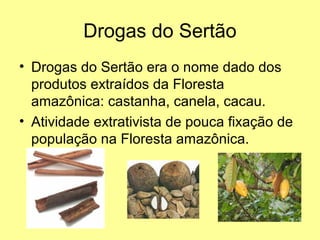 Drogas do Sertão
• Drogas do Sertão era o nome dado dos
  produtos extraídos da Floresta
  amazônica: castanha, canela, cacau.
• Atividade extrativista de pouca fixação de
  população na Floresta amazônica.
 
