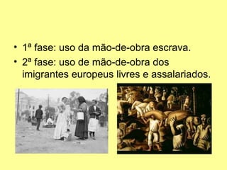 • 1ª fase: uso da mão-de-obra escrava.
• 2ª fase: uso de mão-de-obra dos
  imigrantes europeus livres e assalariados.
 
