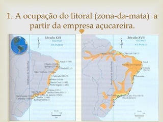 1. A ocupação do litoral (zona-da-mata) a
partir da empresa açucareira.



 