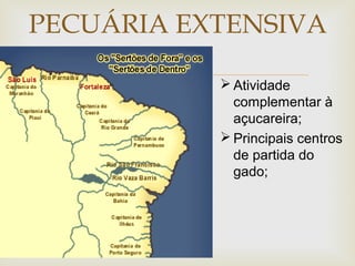 PECUÁRIA EXTENSIVA


 Atividade
complementar à
açucareira;
 Principais centros
de partida do
gado;

 