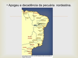 • Apogeu e decadência da pecuária nordestina.



 