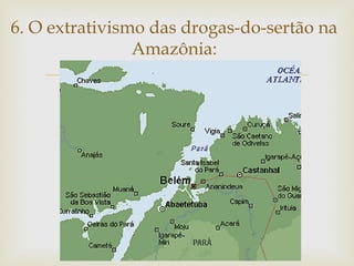 6. O extrativismo das drogas-do-sertão na
Amazônia:



 