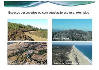 Espaços descobertos ou com vegetação esparsa, exemplos
Arraiolos Praia do Carvalhal-Grândola
Serra da Gardunha
Aceiro in bombeiros.pt
 