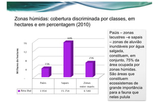 Zonas húmidas: cobertura discriminada por classes, em
hectares e em percentagem (2010)
Paúis – zonas
lacustres –e sapais
– zonas de aluvião
inundáveis por água
salgada,
constituem, em
conjunto, 75% da
área ocupada por
zonas húmidas.
São áreas que
constituem
ecossistemas de
grande importância
para a fauna que
nelas pulula
 