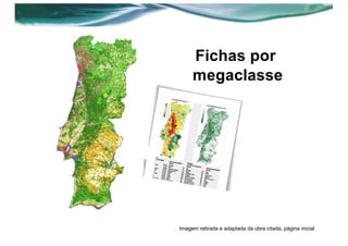 Fichas por
megaclasse
Imagem retirada e adaptada da obra citada, página inicial
 