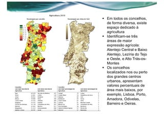 § Em todos os concelhos,
de forma diversa, existe
espaço dedicado à
agricultura
§ Identificam-se três
áreas de maior
expressão agrícola:
Alentejo Central e Baixo
Alentejo, Lezíria do Tejo
e Oeste, e Alto Trás-os-
Montes
§ Os concelhos
localizados nos ou perto
dos grandes centros
urbanos, apresentam
valores percentuais de
área mais baixos, por
exemplo, Lisboa, Porto,
Amadora, Odivelas,
Barreiro e Oeiras.
 