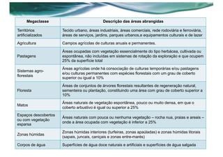 Megaclasse Descrição das áreas abrangidas
Territórios
artificializados
Tecido urbano, áreas industriais, áreas comerciais, rede rodoviária e ferroviária,
áreas de serviços, jardins, parques urbanos,e equipamentos culturais e de lazer
Agricultura Campos agrícolas de culturas anuais e permanentes.
Pastagens
Áreas ocupadas com vegetação essencialmente do tipo herbácea, cultivada ou
espontânea, não incluídas em sistemas de rotação da exploração e que ocupem
25% da superfície total
Sistemas agro-
florestais
Áreas agrícolas onde há consociação de culturas temporárias e/ou pastagens
e/ou culturas permanentes com espécies florestais com um grau de coberto
superior ou igual a 10%
Floresta
Áreas de conjuntos de árvores florestais resultantes de regeneração natural,
sementeira ou plantação, constituindo uma área com grau de coberto superior a
10%
Matos
Áreas naturais de vegetação espontânea, pouco ou muito densa, em que o
coberto arbustivo é igual ou superior a 25%
Espaços descobertos
ou com vegetação
esparsa
Áreas naturais com pouca ou nenhuma vegetação – rocha nua, praias e areais –
onde a área ocupada com vegetação é inferior a 25%
Zonas húmidas
Zonas húmidas interiores (turfeiras, zonas apaúladas) e zonas húmidas litorais
(sapais, juncais, caniçais e zonas entre-marés)
Corpos de água Superfícies de água doce naturais e artificiais e superfícies de água salgada
 