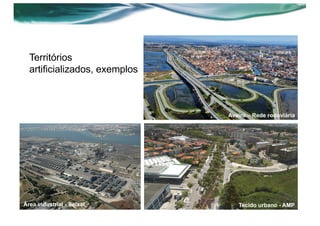 Territórios
artificializados, exemplos
Tecido urbano - AMPÁrea industrial - Seixal
Aveiro – Rede rodoviária
 