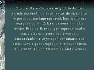 O nome Mato Grosso é originário de uma grande extensão de sete léguas de mato alto, espesso, quase impenetrável, localizado nas margens do rio Galera, percorrido pelos irmãos Paes de Barros, que impressionados com a altura e porte das árvores, o emaranhado da vegetação secundária que dificultava a penetração, com a exuberância da floresta, a denominaram de Mato Grosso. 