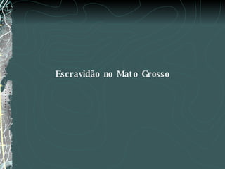 Escravidão no Mato Grosso 