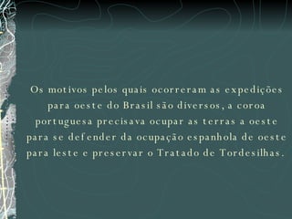 Os motivos pelos quais ocorreram as expedições para oeste do Brasil são diversos, a coroa portuguesa precisava ocupar as terras a oeste para se defender da ocupação espanhola de oeste para leste e preservar o Tratado de Tordesilhas.  