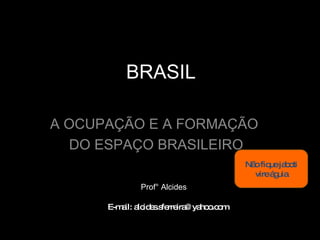 BRASIL A OCUPAÇÃO E A FORMAÇÃO  DO ESPAÇO BRASILEIRO AULA 1 e 2 Prof° Alcides E-mail: alcides.sferreira@yahoo.com  Não fique jaboti vire águia 