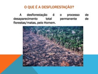 O QUE É A DESFLORESTAÇÃO?
A desflorestação é o processo de
desaparecimento total permanente de
florestas/matas, pelo Homem.
 