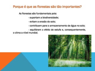 Porque é que as florestas são tão importantes?
As florestas são fundamentais pois:
- suportam a biodiversidade;
- evitam a erosão do solo;
- contribuem para o armazenamento de água no solo;
- equilibram o efeito de estufa e, consequentemente,
o clima a nível mundial.
 