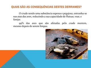 QUAIS SÃO AS CONSEQUÊNCIAS DESTES DERRAMES?
O crude sendo uma substância espessa e pegajosa, entranha-se
nas asas das aves, reduzindo a sua capacidade de flutuar, voar, e
farejar.
• 99% das aves que são afetadas pelo crude morrem,
mesmo depois de serem limpas.
 