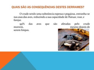 QUAIS SÃO AS CONSEQUÊNCIAS DESTES DERRAMES?
O crude sendo uma substância espessa e pegajosa, entranha-se
nas asas das aves, reduzindo a sua capacidade de flutuar, voar, e
farejar.
• 99% das aves que são afetadas pelo crude
morrem, mesmo depois de
serem limpas.
 
