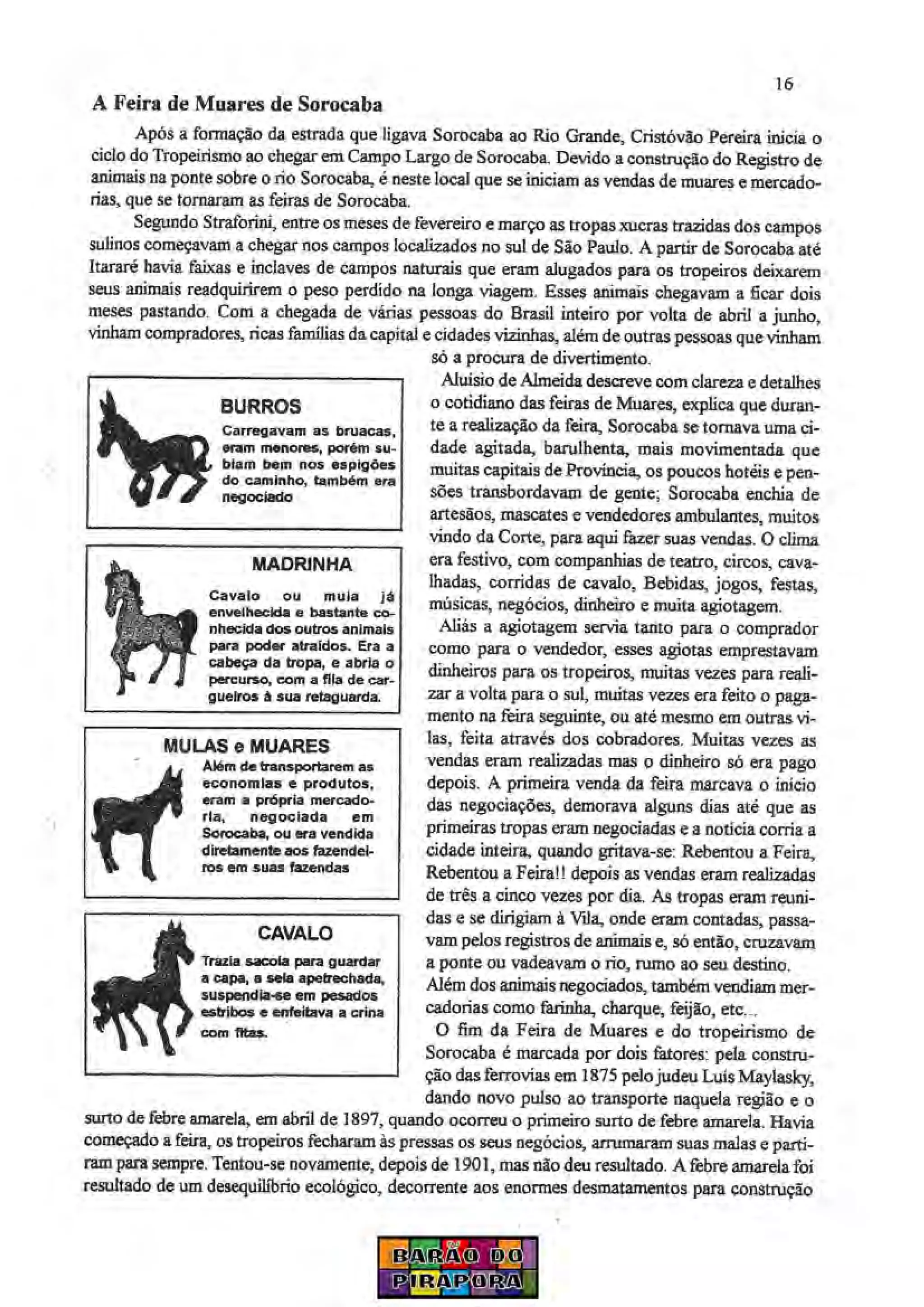 Ocupação nos Altos do Paranapiacaba