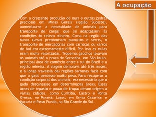 Com a crescente produção de ouro e outras pedras
preciosas em Minas Gerais (região Sudeste),
aumentou-se a necessidade de animais para
transporte de cargas que se adaptassem às
condições do relevo mineiro. Como na região das
Minas Gerais predominam planaltos e serras, o
transporte de mercadorias com carroças ou carros
de boi era extremamente difícil. Por isso as mulas
eram muito valorizadas. Tropeiros gaúchos levavam
os animais até a praça de Sorocaba, em São Paulo,
principal área de comércio entre o sul do Brasil e a
região mineira. A viagem demorava até três meses,
e a longa travessia das regiões serranas fazia com
que o gado perdesse muito peso. Para recuperar a
condição corporal dos animais, era necessário que o
gado descansasse em determinadas áreas. Essas
áreas de repasto e pouso de tropas deram origem a
várias cidades, como Curitiba, Castro e Ponta
Grossa, no Paraná; Lages, em Santa Catarina; e
Vacaria e Passo Fundo, no Rio Grande do Sul.
 