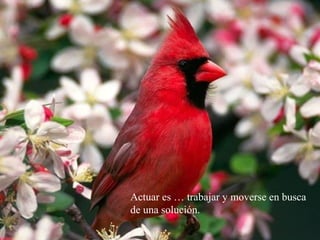 Actuar es … trabajar y moverse en busca
de una solución.
 