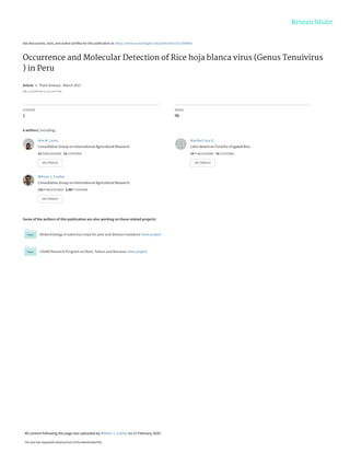See discussions, stats, and author profiles for this publication at: https://www.researchgate.net/publication/313369685
Occurrence and Molecular Detection of Rice hoja blanca virus (Genus Tenuivirus
) in Peru
Article  in  Plant Disease · March 2017
DOI: 10.1094/PDIS-12-16-1797-PDN
CITATION
1
READS
96
6 authors, including:
Some of the authors of this publication are also working on these related projects:
Biotechnology in tuberous crops for pest and disease resistance View project
CGIAR Research Program on Root, Tubers and Bananas View project
Ana M. Leiva
Consultative Group on International Agricultural Research
12 PUBLICATIONS   51 CITATIONS   
SEE PROFILE
Maribel Cruz G.
Latin American Fund for Irrigated Rice
14 PUBLICATIONS   41 CITATIONS   
SEE PROFILE
Wilmer J. Cuellar
Consultative Group on International Agricultural Research
131 PUBLICATIONS   1,487 CITATIONS   
SEE PROFILE
All content following this page was uploaded by Wilmer J. Cuellar on 27 February 2020.
The user has requested enhancement of the downloaded file.
 