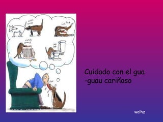 Cuidado con el gua -guau cariñoso walhz 