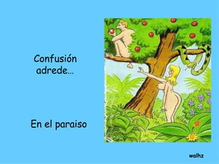 Confusión adrede… En el paraiso walhz 