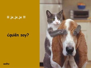 ¡¡¡ je,je,je !!! ¿quién soy? walhz 