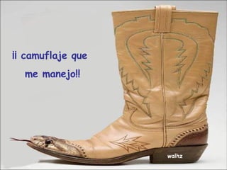 ¡¡ camuflaje que me manejo!! walhz 