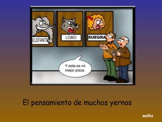 El pensamiento de muchos yernos walhz 
