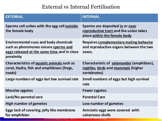 external fertilization