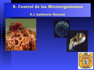 8. Control de los Microorganismos
8.1 Ambiente Natural.
 