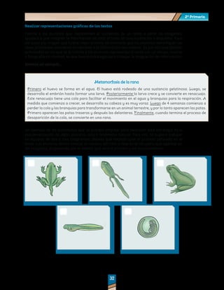2º Primaria
2º Primaria
32
32
Realizar representaciones gráficas de los textos
Pedirle a los alumnos que representen el contenido de un texto a partir de imágenes,
ayudará a que integren la información de todo el texto en una ilustración o esquema. Para
dar paso a la imagen que ilustre mejor el texto, es necesario que los alumnos identifiquen las
ideas principales omitiendo los detalles o la información secundaria. Es por ello que diseñar
actividades en las que se le solicite a los alumnos representar el texto con un dibujo, recorte
o fotografía de internet, es una buena estrategia para trabajar la integración de información.
Veamos un ejemplo…
Metamorfosis de la rana
Metamorfosis de la rana
Primero el huevo se forma en el agua. El huevo está rodeado de una sustancia gelatinosa. Luego, se
desarrolla el embrión hasta formar una larva. Posteriormente la larva crece y se convierte en renacuajo.
Este renacuajo tiene una cola para facilitar el movimiento en el agua y branquias para la respiración. A
medida que comienza a crecer, se desarrolla su cabeza y es muy voraz. Luego de 4 semanas comienza a
perder la cola y las branquias para transformarse en un animal terrestre, y por lo tanto aparecen las patas.
Primero aparecen las patas traseras y después las delanteras. Finalmente, cuando termina el proceso de
desaparición de la cola, se convierte en una rana.
Un ejemplo de las actividades que se pueden emplear para favorecer esta estrategia es la
esquematización de algún proceso, ciclo o fenómeno natural. Para ello, se sugiere trabajar
en equipos de dos o tres integrantes; pídales que reconstruyan el proceso señalado en el
texto. Los alumnos deben colocar el número del ciclo o fase en el recuadro que aparece en
las imágenes, empezando por el evento que ocurre primero y así sucesivamente.
 