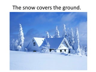 The snow covers the ground.
 
