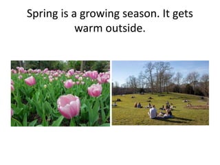 Spring is a growing season. It gets
warm outside.
 