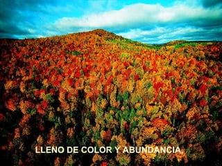LLENO DE COLOR Y ABUNDANCIA,
 