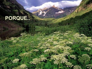 PORQUE..
 
