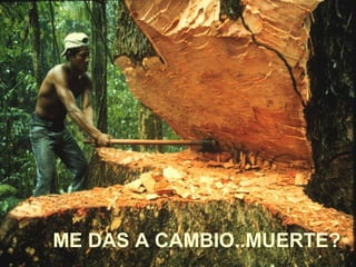 ME DAS A CAMBIO..MUERTE?
 