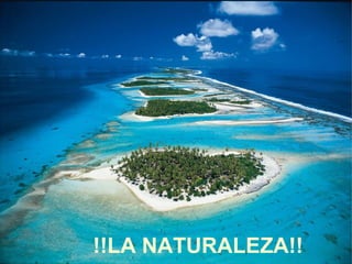 !!LA NATURALEZA!!
 