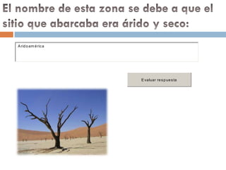 A rid o am é ric a




                     E valuar re s p ue s ta
 