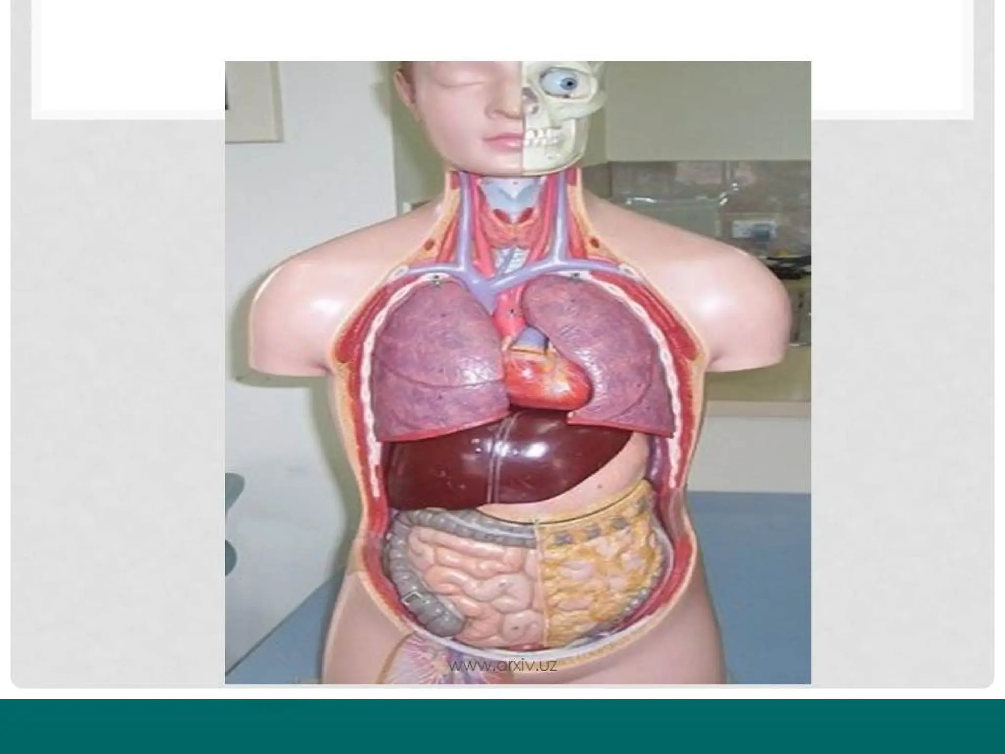Suhbat bilan yumshoq jinsiy aloqani tomosha qiling