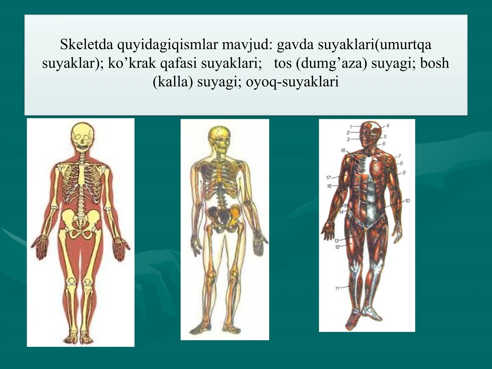 Boy odam chiroyli ayolni sikadi