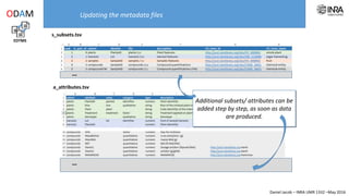 Daniel Jacob – INRA UMR 1332 –May 2016
s_subsets.tsv
a_attributes.tsv
…
…
Additional subsets/ attributes can be
added step by step, as soon as data
are produced.
Updating the metadata files
EDTMS
ODAM
 