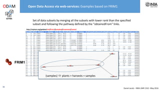 Daniel Jacob – INRA UMR 1332 –May 2016
EDTMS
ODAM Open Data, Access and Mining : web API
REST Services: hierarchical tree of resource naming (URL)
16
GET http://myhost.org/getdata/<data format>/<dataset name>/< … >/< … >
http://myhost.org/getdata/<data format>/<dataset name>/<subset>/<entry>/<value>
http://myhost.org/getdata/<data format>/<dataset name>/(<subset>)/<category>
http://myhost.org/getdata/<data format>/<dataset name>
http://myhost.org/getdata/<data format>/<dataset name>/(<subset>)/<entry>/<value>
http://myhost.org/getdata/<data format>/<dataset name>/<subset>
http://myhost.org/getdata/<data format>/<dataset name>/(<subset>)
• Get the subset list of a dataset
• Get all values within a data subset
• Get values within a data subset for a specific value of an entry
• Get all values within a set of data subsets
• Get values within a set of data subsets for a specific value of an entry
• Get the attribute list within a set of data subsets for a specific category
 