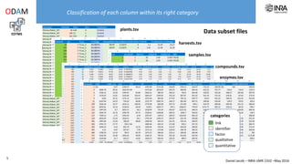 Daniel Jacob – INRA UMR 1332 –May 2016
plants.tsv
harvests.tsv
samples.tsv
compounds.tsv
Classification of each column within its right category
enzymes.tsv
Data subset files
factor
quantitative
qualitative
identifier
link
categories
EDTMS
ODAM
5
Data subsets files and their associated metadata files must be compliant
with the TSV standard (Tab-Separator-Values)
• You have to organize your data subsets so that links could be established between them.
• In practical, it means to add a column containing the identifiers corresponding to the entity
to which you want to connect the subset, implying a ‘obtainedFrom’ relation.
• It is to be noted that this duplication of identifiers must be the only redundant
information, through all data subsets.
 
