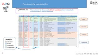 Daniel Jacob – INRA UMR 1332 –May 2016
a_attributes.tsv This metadata file allows each attribute (variable) to be annotated with
some minimal but relevant metadata
Creation of the metadata files
EDTMS
ODAM
9
factor
quantitative
qualitative
identifier
categories
Plants
Harvests
Samples
Compounds
…
…
 