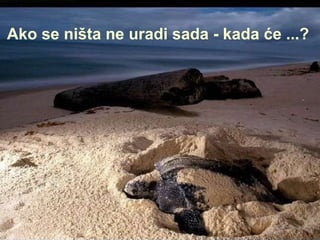 Ako se ništa ne uradi sada -   kada će ... ? 