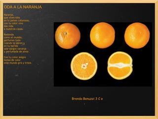 ODA A LA NARANJA Naranja, que vives sólo en lo países calurosos, con tu color vivo das vida                        a nuestras casas.                         Redonda como el mundo, perfumas todo cuando te abren y en tu herida sale sangre naranja y perfumada de amor.               Con tu color alegre llenas de color este mundo gris y triste. Brenda Benuzzi 3 C e 